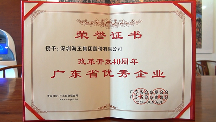 2018年 金年会 金字招牌诚信至上集团荣获“改革开放四十年广东省优秀企业”
